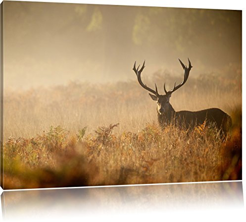 Pixxprint Rotwild Hirsch im Nebel, Größe: 100x70cm, Leinwandbild, fertig gespannt, Wandbild, Dekoration, Kunstdruck, kein Poster