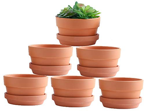 Yishang 5 Inch Shallow Terracotta Clay pots with Drain Hole,Ceramic Plant pots for Indoor/Outdoor Plants,Unglazed Bonsai Planter with Saucer/Tray for Cacuts/Succulent Plants