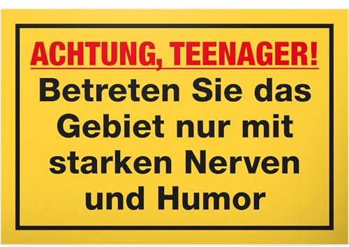 DankeDir! Teenager Nerven & Humor - Schild 30 x 20 cm - Jungen & Mädchen Teenager Türschild Geschenkidee Zimmer Spruch - Zimmer Deko Dekoration Geschenk Idee Tür Deko Geburtstag Jugendliche