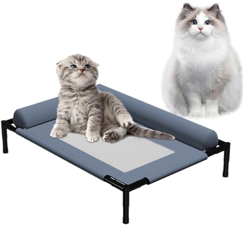 Ranley Hochbett für Hunde – Kühlbett für Hunde – erhöhtes und belüftetes Hundebett | abnehmbarer Korb für Dodo, Spiel, Wohnzimmer, Schlafzimmer, Terrasse, Haus, Outdoor, Welpen, Katzen, Kaninchen