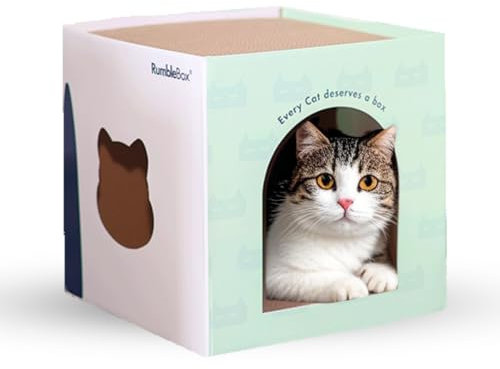RumbleBox Katzenhaus Pappe mit Kratzbrett & Katzenminze – Kratzpappe für Katzen, Umweltfreundlich, Leicht & Stabil – Gemütliches Zuhause & Spielplatz, Hochwertige Doppelseitige Wellpappe, 30x30x30 cm