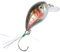 Balzer UV Confidential Baby Crank 2,8cm 2g - Forellenwobbler, Farbe:Regenbogenforelle