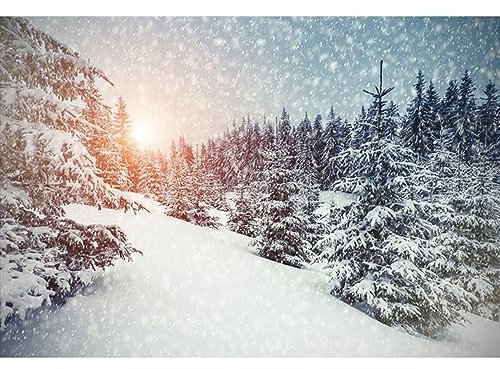 YongFoto 2,2x1,5m Foto Hintergrund Weihnachten Vinyl Winter Wunderland Schnee bedeckte B鋟me Schneeflocken Schwacher Sonnenschein Fotografie Hintergrund Foto Leinwand Kinder Fotostudio