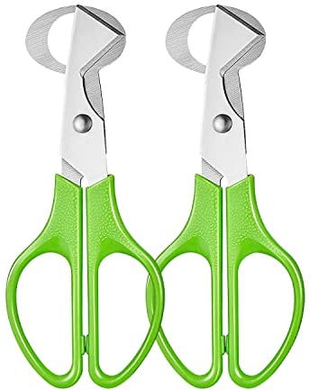 Hotype Tijeras Huevos Codorniz, Codorniz Huevos Tijeras Huevo Cortador, Tijeras de Acero Inoxidable para Huevos de Codorniz, Codornices Cáscaras Huevo Tijeras para Hogar, Cocina, 2 Piezas