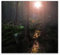 SMTDeco Herdabdeckplatte Ceranfeld Abdeckplatte Herdabdeckung Herdplatten Abdeckungen Induktionskochfeld 65x60 cm 1-tlg. Sonnenuntergang Bäume Braun