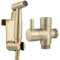 Tecmolog Ensemble Douchette Toilette Acier Inoxydable Pulvérisation Bidet Portable pour l'hygiène Intime Or Brossé, WS024J2F