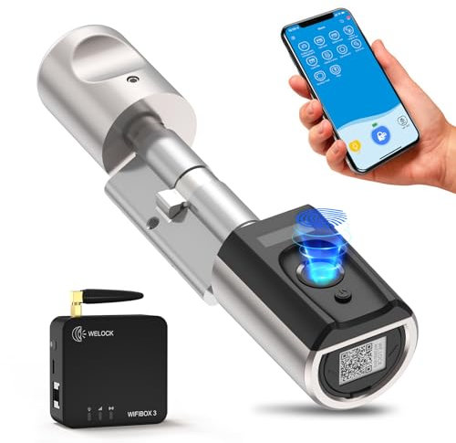 RUILON Serrure Empreintes avec WIFIBOX - IP65 Serrura électronique biométrique téléphone portable carte RFID télécommande déverrouillage,réglable 40x30 installation facile