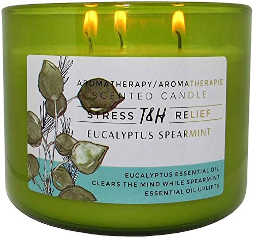 Stressabbau-Aromatherapie-Kerzen, Eukalyptus, Grüne Minze, Duftkerze | 450 ml Soja-Kerzen für Zuhause | dekorative Kerzen mit 3 Dochten
