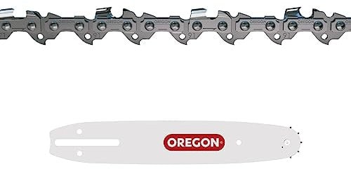 Oregon Catena e Barra per Motosega, Catena 3/8 LP 1.3 mm da 40 Maglie di Trasmissione e Barra A041 da 25 cm, Compatibili con Alpina, Black + Decker, Bosch, Dolmar, Echo, Efco, Greenworks