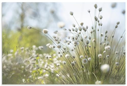 ARTland Wanddeko Wandbild Alu Verbundplatte für Innen & Outdoor Bild 60x40 cm Natur Idyll Pflanzen Gräser Pampasgras Wollgras Blüten Blumen Moor U4YL