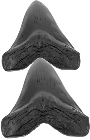 GARVALON 2stücke Replika Megalodon Hai Zähne Aus Harz Paläontologie Dekoration Modell Exemplar Ornament Lehrgeschenk Partygeschenk Für Tischnaturgeschichte