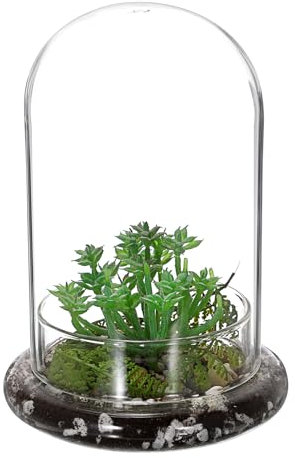 OGANAZI Mini Pflanzenterrarium Glas Sukkulenten Topf, Klare Glaskuppel mit 3 mm Luftloch, Deko Glasglocke mit Glasboden, Tischdeko Geschenk für Büro Arbeitszimmer Wohnzimmer (14,5x21 cm,Ohne Pflanzen)