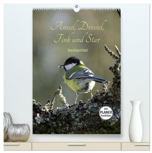 Amsel, Drossel, Fink und Star - beobachtet (hochwertiger Premium Wandkalender 2026 DIN A2 hoch), Kunstdruck in Hochglanz: Hier ein kleiner Auszug aus ... Wild- bzw. Gartenvögeln. (CALVENDO Tiere)