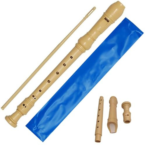 flauto dolce soprano Abs per Gli Amanti della Musica per Principianti,smontabile con Scovolino e Custodia