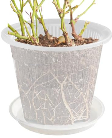 Keyubria Vaso trasparente per orchidee, 14 cm, in ABS, con foro di drenaggio e vassoio, vaso per fiori per orticide per tagliare semi di orchidee piante grasse, per interni ed esterni