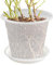 Keyubria Vaso trasparente per orchidee, 14 cm, in ABS, con foro di drenaggio e vassoio, vaso per fiori per orticide per tagliare semi di orchidee piante grasse, per interni ed esterni