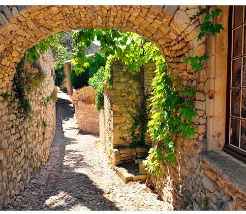 decomonkey Fototapete Garten 350x256 cm XXL Design Tapete Fototapeten Vlies Tapeten Vliestapete Wandtapete moderne Wand Schlafzimmer Wohnzimmer Natur Pflanzen Efeu Mauer