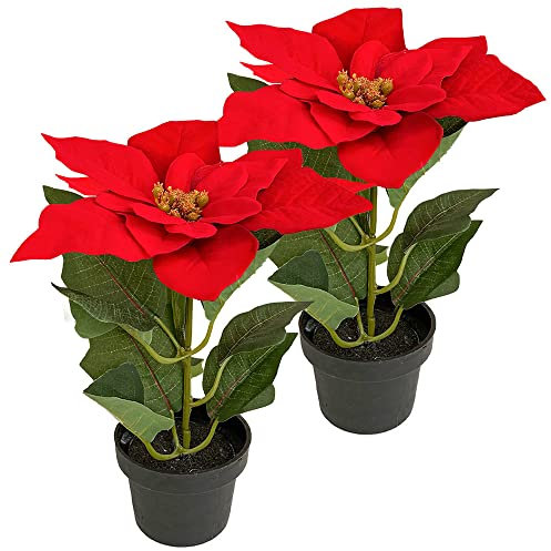 Murago - 2er Set Künstlicher Weihnachtsstern ca.20cm - Rot - mit im Topf Kunstblumen Kunstpflanzen Blümchen Topfflanze für Weihnachten weihnachtliche Weihnachtsdekoration Blüte