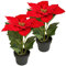 Murago - 2er Set Künstlicher Weihnachtsstern ca.20cm - Rot - mit im Topf Kunstblumen Kunstpflanzen Blümchen Topfflanze für Weihnachten weihnachtliche Weihnachtsdekoration Blüte