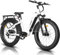 HAOQI Eagle Elektrofahrrad für Erwachsene, 250W bürstenloser Motor Mountainbike mit 48V 20AH herausnehmbarem Akku,26 x 4.0 Fat Tire Ebike, Elektrofahrrad mit 7 Gängen bis zu 25 km/h