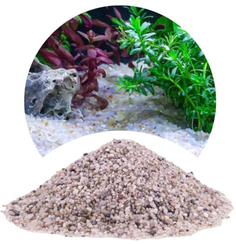 TD STONES Quarzkies Grau 8kg 1-3mm – Natürlicher, pH-neutraler Naturkies & Aquariumboden für Pflanzen, Fische & Garnelen – Dekorativer, schadstofffreier Kies für Aquascaping, Biotop & Aquariendeko