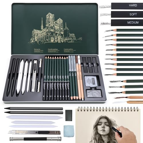 BINYI Skizzen Zeichen Bleistift Set Zeichenstifte Professionell Zeichenset Malset mit Graphitstift Kohlestifte für Zeichnen Skizzieren für Künstler Erwachsene 27 Stück