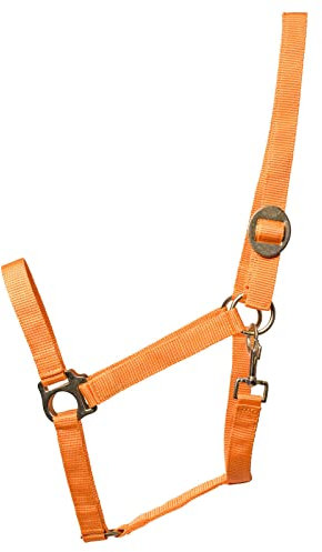 Eldorado Pferde-Halfter Standard - orange - Shetty