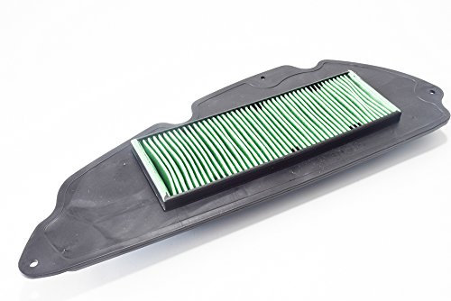 FILTRO ARIA SH 300 2007>2013