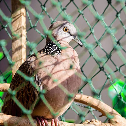Vogelschutznetz Grobmaschig Netz Vogelschutz Weitmaschig Vogelnetz Balkon Maschenweite 1.5x1.5cm für Garten, Balkon oder Teich, Volierennetz,1x10m