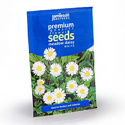 Jamieson Brothers® Daisy Meadow White Flower Seeds (Approx. 370 Seeds) - Grow Beautiful Flowers at Home Or at The Allotment to Attract Pollinators and Add Colour and Fragrance