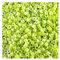 5 g Miyuki Delica Rocailles Seed Beads, 11/0 (1.6 mm) Opaque Lime AB (Miyuki Delica Rocailles Samenperlen Undurchsichtiger Kalk AB)