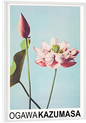 artboxONE Poster mit weißem Rahmen 18x13 cm Natur Lotusblumen - Ogawa Kazumasa - Bild Japan Ausstellung Blumen