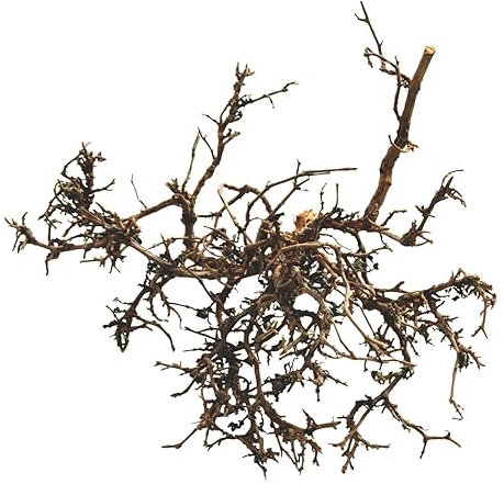 Lucky Reptile Wüstenbusch Natur, Größe:Mittel