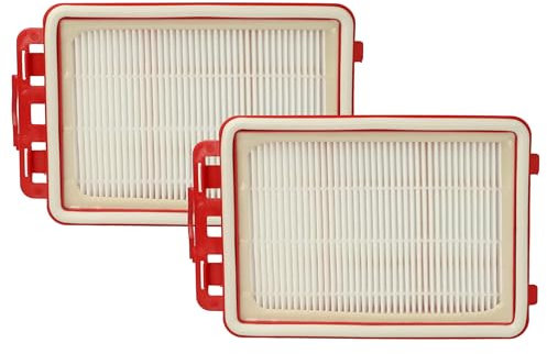 vhbw Filterset 2x Staubsaugerfilter kompatibel mit Zanussi ZAN4100IW Staubsauger - HEPA Filter Allergiefilter
