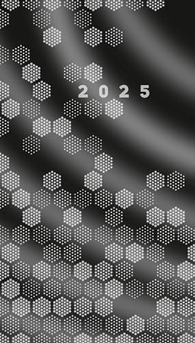 rido/idé Taschenkalender Mod. M-Planer 2025 | A6, Karton, schwarz