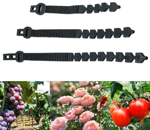 Cinghie di supporto regolabili per alberi da frutto, arbusti e piante in vaso (500 mm)