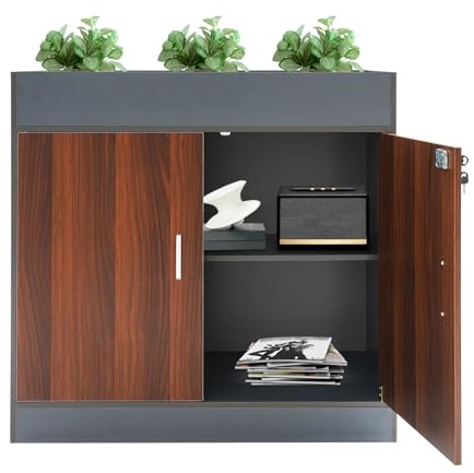 Armoire en métal verrouillable - 80 x 40 x 80 cm - Armoire multifonction avec 2 niveaux - Armoire à outils avec double portes
