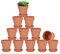 vensovo Vasi in terracotta con piattino - Confezione da 12 vasi di terracotta da 7,6 cm Fioriera in ceramica per cactus Vasi per fiori succulenti Foro di drenaggio