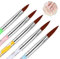 Nail Art Brushes Set, 5 Pieces Professional Nail Art Pens UV Gel Brush Nail Accessories, Acrylic Nail Paint Brush Nail Pens for Nail Design Nail Art Tool Set for DIY Painting Drawing Dotting