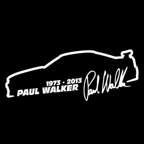 FAiruo Fast and Furious Car Sticker Fashion Automobiles Motorcycles Exterior Accessories Vinyl Decals Car Styling (Color : B, Size : 17cm X 6cm)