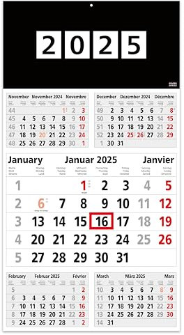 5-Monatskalender 2025- Perfekt I Wandkalender 5 Monate Einblatt I 30 x 56 cm I mehrsprachig D/GB/F Jahresplaner mit Schieber I Bürokalender - Made in Germany by Geiger-Office