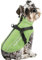 PcEoTllar Hundemantel Wasserdicht für Kleine Hunde, Hundjacke mit Geschirr für Winter, Reflektierend Hundemantel, Warm Hunde Wintermantel, Skifahren Kostüm Baumwolle Hundepullover, Grün-XL