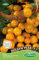 Germisem Tomate GOLDEN PEARL F1, mehrfarbig, EC8005