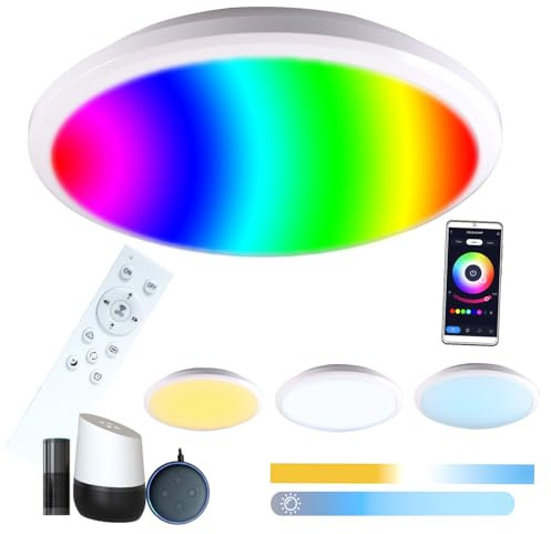 Etrogo 24W Plafon LED Techo RGB 2700K a 6500K Regulable 2400Lumen con Mando a Distancia, Control APP, Compatible con Alexa y Google Home,lampara techo dormitorio,Para Salón Cocina BañoØ28CM