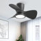Ateroll Ventilatore da Soffitto con Luce, Ø61cm, Dimmerabile 3CCT (3000K-4000K-5000K), 1500LM Con Telecomando, 4 Velocità, Timer, Adatto per Soggiorno, Cucina, Camera da Letto (Nero)