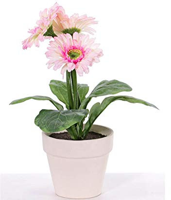 Künstliche blühende Gerbera Pflanze 35 hoch mit rosa Blüten und fein geaderten Textil-Blättern im Topf