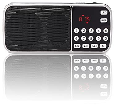 Y-501 Haut-Parleur numérique Portable Lecteur Audio Radio FM avec écran LED et Support de Lampe de Poche Carte TF/USB/AUX
