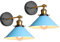 iDEGU 2 Stück Wandleuchten, Retro Wandlampe im Metall Lampenschirm mit 240° Verstellbare Moderne Deckenlampe Wandspots für Schlafzimmer Wohnzimmer Flur, 22CM (Blau)