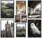ARTFAVES® Poster Set - POTTERHEAD - mehrteilige Wanddeko Wohnzimmer & Schlafzimmer - 8 moderne Wandbilder Schottland, England, mystisch, Zug, Schneeeule - mit Rahmen Schwarz