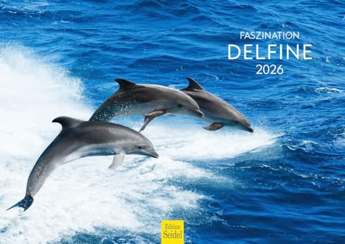 Edition Seidel Premium Kalender Fasziation Delfine 2026 Format DIN A4 Wandkalender Tierkalender Delfin Wale Orcas Säugetiere Meer Ozean
